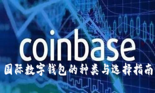 国际数字钱包的种类与选择指南
