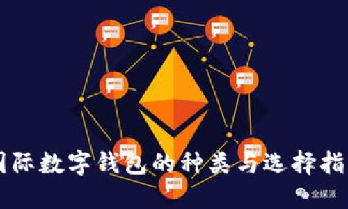 国际数字钱包的种类与选择指南