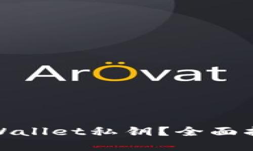 : 如何找回TPWallet私钥？全面指南与解决方案
