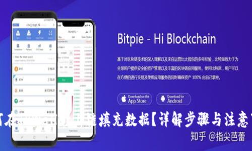 如何在TPWallet上链填充数据？详解步骤与注意事项