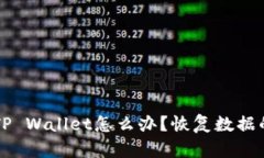 不小心卸载TP Wallet怎么办