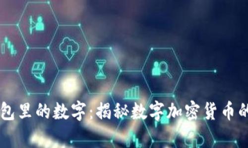 BV钱包里的数字：揭秘数字加密货币的奥秘