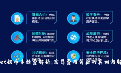 TPWallet提币手续费解析：高昂费用背后的真相与解决方案