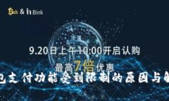 数字钱包支付功能受到限