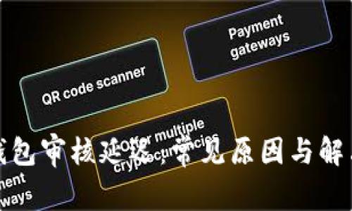数字钱包审核延迟：常见原因与解决方案