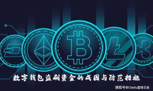 数字钱包盗刷资金的成因与防范措施