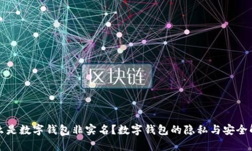 什么是数字钱包非实名？数字钱包的隐私与安全解析