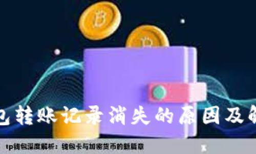 数字钱包转账记录消失的原因及解决方案