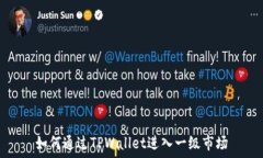   如何通过TPWallet进入一级