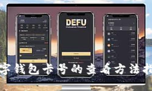数字钱包卡号的查看方法指南