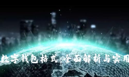 公司数字钱包格式：全面解析与实用指导