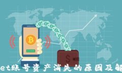 TPWallet账号资产消失的原因