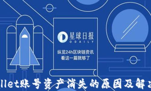
TPWallet账号资产消失的原因及解决方案