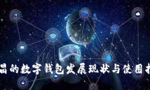 南昌的数字钱包发展现状与使用指南