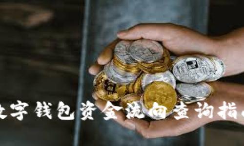 数字钱包资金流向查询指南