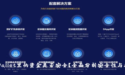 TPWallet里的资金是否安全？全面分析安全性与风险