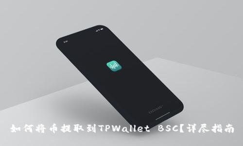 如何将币提取到TPWallet BSC？详尽指南