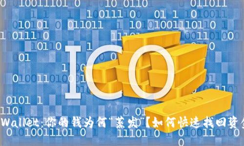 TPWallet：你的钱为何“蒸发”？如何快速找回资金！