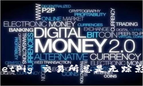 为何你的 TPWalletPig 交易所总是无踪影？探秘背后的真相