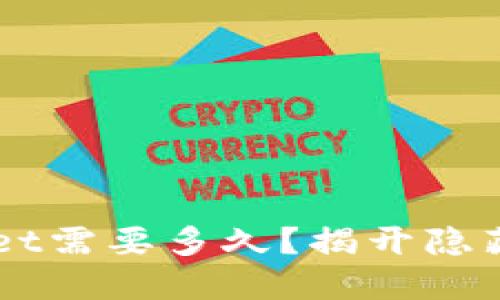 转到TPWallet需要多久？揭开隐藏的时间谜团