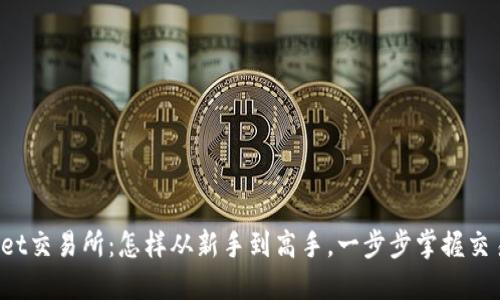 TPWallet交易所：怎样从新手到高手，一步步掌握交易技巧？