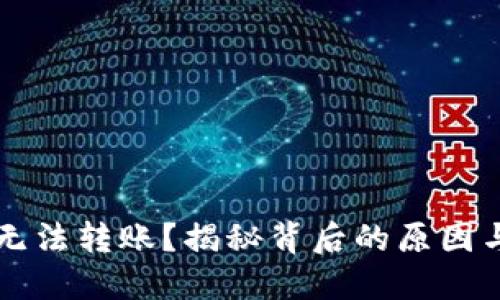 TPWallet无法转账？揭秘背后的原因与解决方案