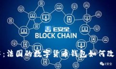 在数字化浪潮中：法国的