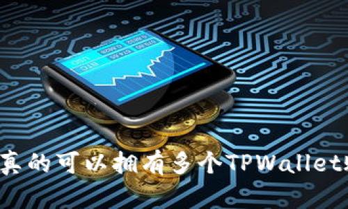 一个人真的可以拥有多个TPWallet账户吗？