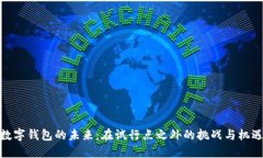 数字钱包的未来：在试行