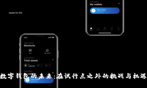 数字钱包的未来：在试行点之外的挑战与机遇