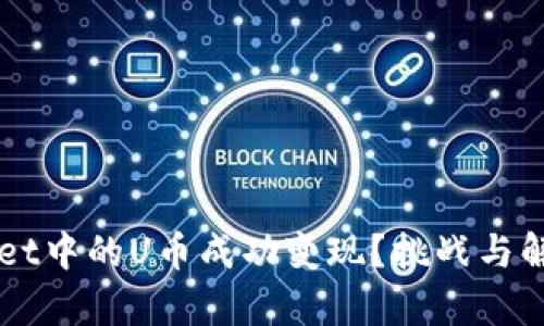 如何将TPWallet中的U币成功变现？挑战与解决方案大解析