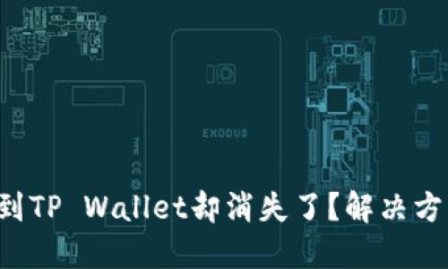 火币提币到TP Wallet却消失了？解决方案大揭秘！