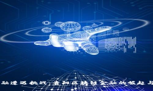 当传统金融遭遇挑战：贵阳区块链金融的崛起与未来展望