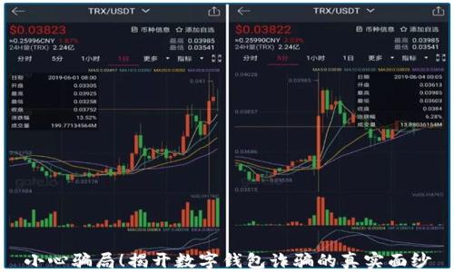 
小心骗局！揭开数字钱包诈骗的真实面纱