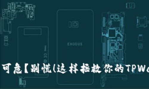 你的数字资产岌岌可危？别慌！这样拯救你的TPWallet私钥盗窃危机