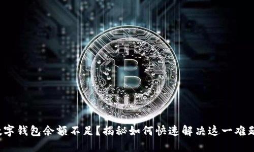 数字钱包余额不足？揭秘如何快速解决这一难题！