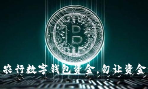 如何高效转出农行数字钱包资金，勿让资金流动成为负担