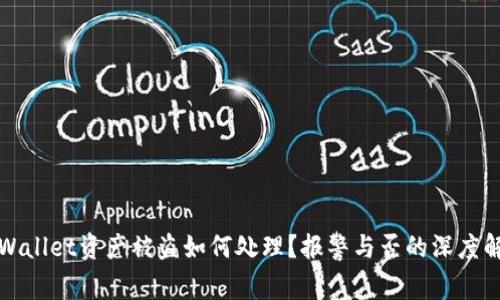 TPWallet资产被盗如何处理？报警与否的深度解析