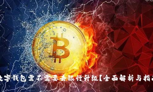 数字钱包需不需要去银行升级？全面解析与指南