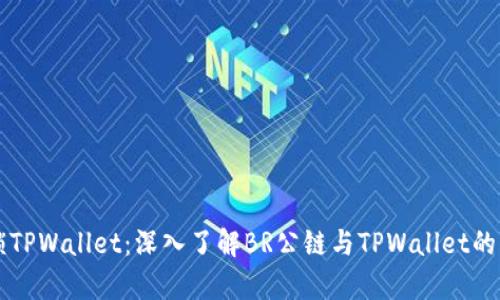 解锁TPWallet：深入了解BR公链与TPWallet的集成