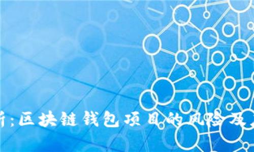 深入解析：区块链钱包项目的风险及应对策略