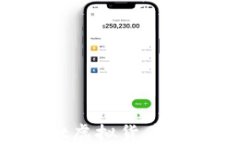 如何防止TPWallet虚拟货币被